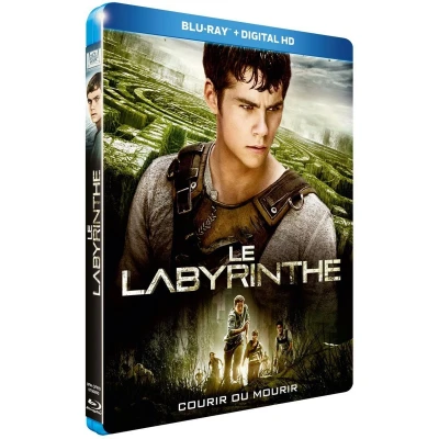 Afbeelding van Le labyrinthe