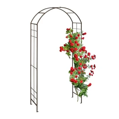 Afbeelding van tuinboog metaal robuust 224 x 110 41 cm klimplanten weerbestendig