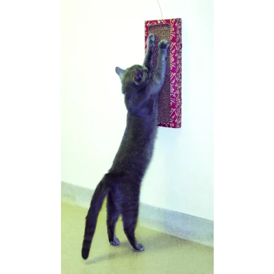 Afbeelding van Cat Dancer Wall Scratcher