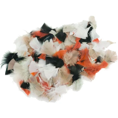 Afbeelding van Colorations Natuurlijke Veren 85 Gram, 750st.