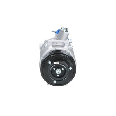 Afbeelding van Compressor, airconditioning BV PSH 090.205.009.876