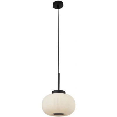 Afbeelding van Hanglamp Lumina, 1 lamp