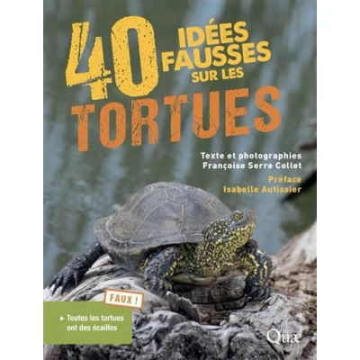 Image de 40 idées fausses sur les tortues