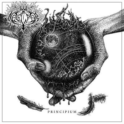 Afbeelding van Naglfar Principium (LP)