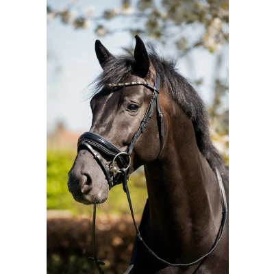Image de HB Bride Showtime Evalira Noir/Gris