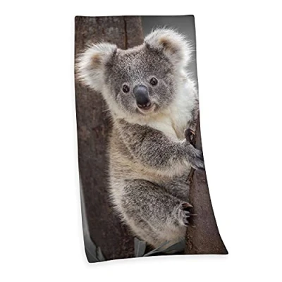 Afbeelding van Klaus Herding GmbH velours badhanddoek met koala, 75 x 150 cm