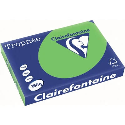 Afbeelding van Clairefontaine Trophée Intens, Gekleurd Papier, A3, 160 G, 250 Vel, Grasgroen Papier
