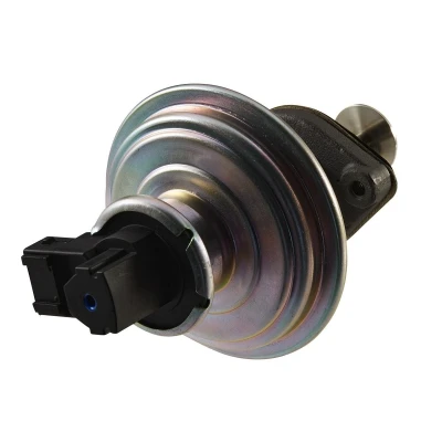 Afbeelding van Hella EGR klep 6NU 010 171 751