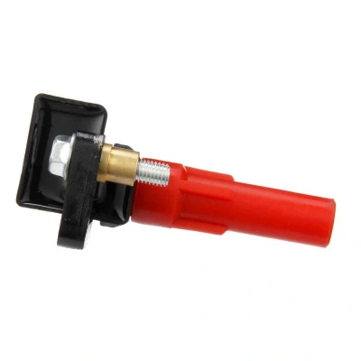 Afbeelding van Bobine DELPHI GN10435 12B1