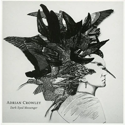 Afbeelding van Adrian Crowley Dark Eyed Messenger (CD)