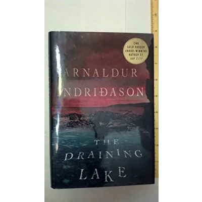 Afbeelding van The Draining Lake