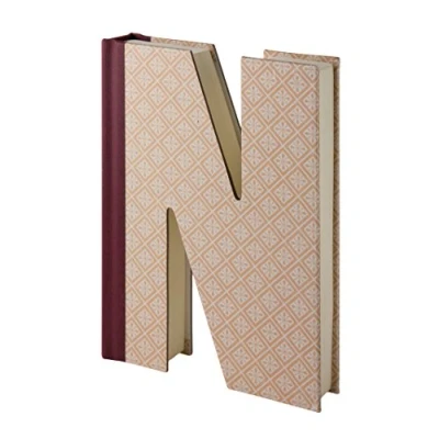 Afbeelding van Alphabooks Letter N