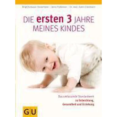 Afbeelding van Die ersten drei Jahre meines Kindes