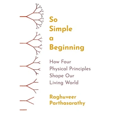 Afbeelding van So Simple a Beginning