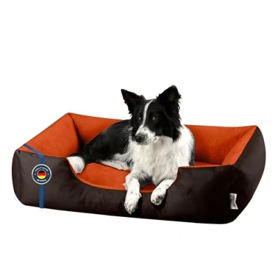 Afbeelding van BedDog® hondenmand LUPI, vierkant hondenkussen, grote hondenbed, hondensofa, hondenhuis, met afneembare hoez, wasbaar, maat S XXXL
