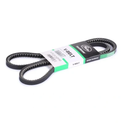 Afbeelding van Gates V riem 6487EXL