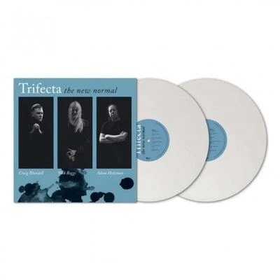 Afbeelding van Trifecta The New Normal (2 LPs)
