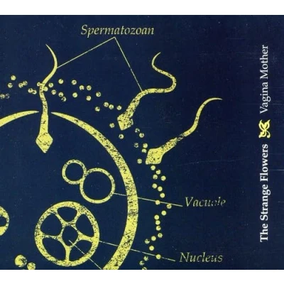 Afbeelding van The Strange Flowers Vagina Mother (CD)