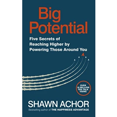 Afbeelding van Big Potential