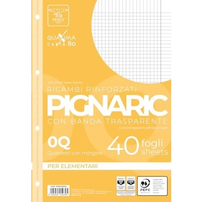 Afbeelding van Pigna 02194590Q, vervanging met versterkte band, 0Q strepen, 5 mm geruit rand voor 2 en 3. Element, 80 g/m² papier, 40 vellen