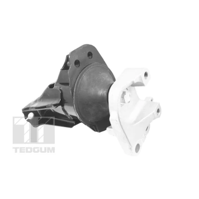 Afbeelding van Aslichaam /motorsteunlager TEDGUM TED49865