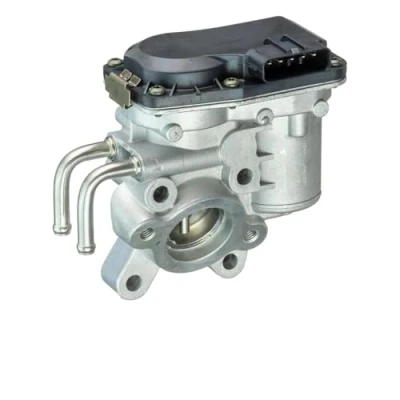 Afbeelding van DELPHI EG10537 12B1 EGR klep Zonder AGR koeler
