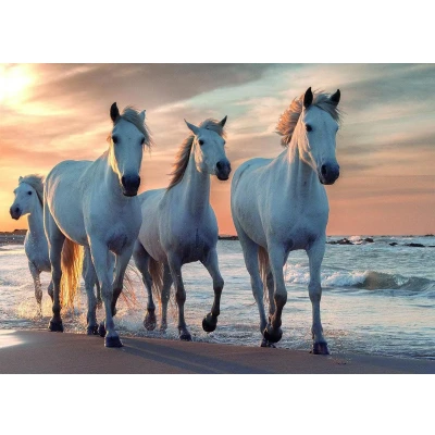 Afbeelding van Rebo puzzel 1.000 st. Horses 908164