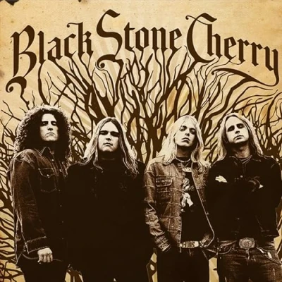 Afbeelding van Black Stone Cherry (LP)