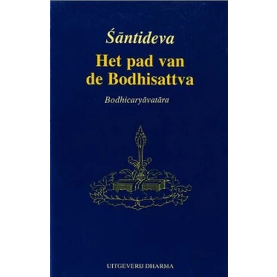 Afbeelding van Het pad van de Bodhisattva