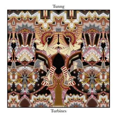 Afbeelding van Tunng Turbines (LP)