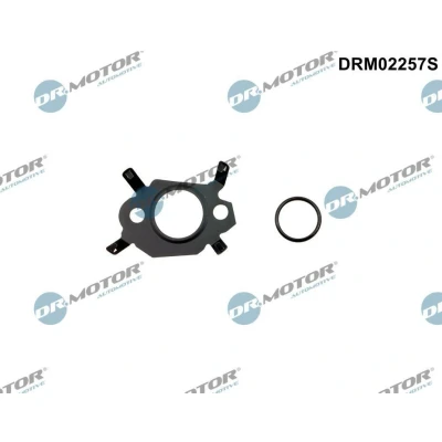 Afbeelding van DR.MOTOR AUTOMOTIVE DRM02257S Pakkingset, uitlaatgassenrecirculatiesysteem CITROËN: Dispatch III Van, Relay II Minibus, FORD: FOCUS 3