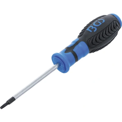 Afbeelding van BGS Schroevendraaier Torx T15 x 80 mm