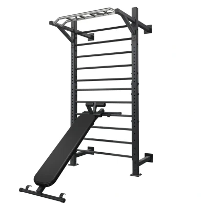 Afbeelding van Toorx Professional Trainingsbank voor LDX 3000 en 5000 Wallbar Zwart Staal