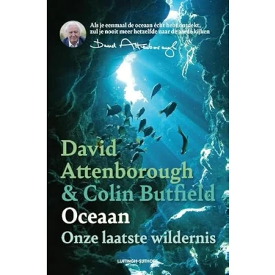 Afbeelding van Oceaan