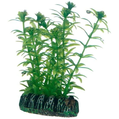 Afbeelding van Hobby Plant Lagarosiphon 7 Cm