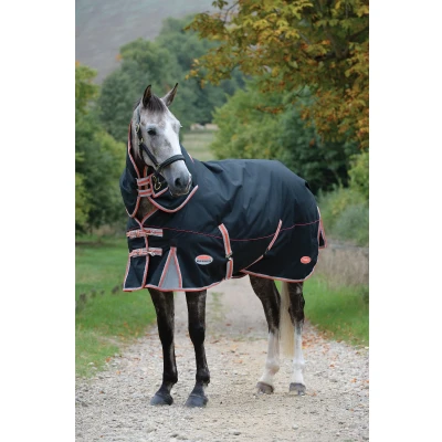 Image de Weatherbeeta Detach A Neck Medium Comfitec Premier with Therapy Tec 220g Black/Silver/Red 140/190
