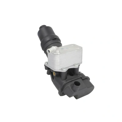 Afbeelding van THERMOTEC D4A021TT Oliekoeler VOLKSWAGEN: Polo V Hatchback, GOLF 6, Passat B6 Saloon