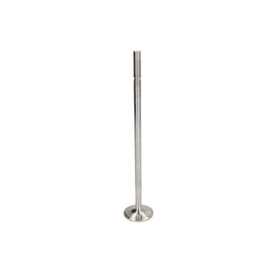 Afbeelding van Mahle Original Inlaatklep 001 VE 32002 000