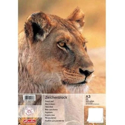 Image de Herlitz 1x bloc de dessin, format a3, 100 g m2, 25 feuilles 10416634