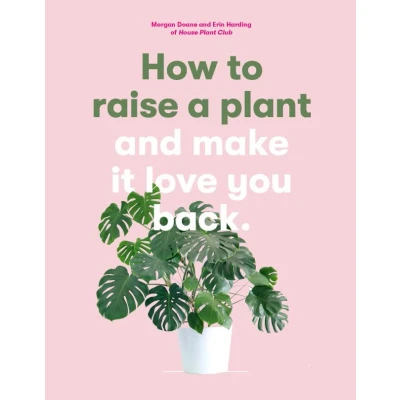 Afbeelding van How to Raise a Plant