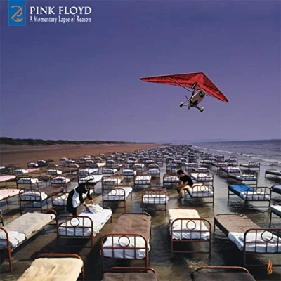 Afbeelding van A Momentary Lapse of Reason