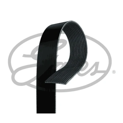 Afbeelding van GATES 12PK1670HD Multiriem 1670 12 Polyester, EPDM (Ethylen Propylen Dien Kautschuk)