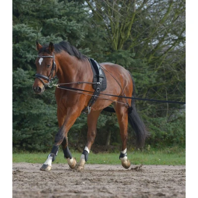 Afbeelding van Waldhausen Longeersysteem Zwart Pony/Cob