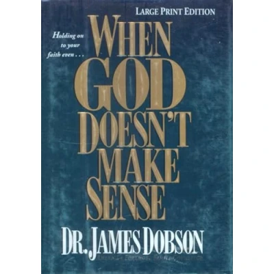 Afbeelding van When God Doesn&#039;t Make Sense