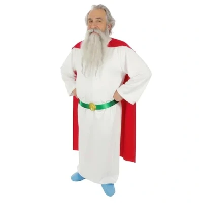 Afbeelding van Chaks Panoramix kostuum voor volwassenen Asterix grijs wit medium