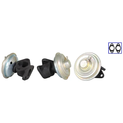 Afbeelding van DRI 717710330 EGR klep Pneumatisch Met pakkingen