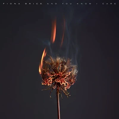 Afbeelding van Fiona Brice And You Know I Care (LP)