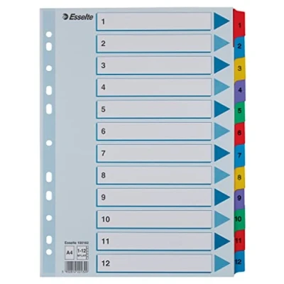Afbeelding van Esselte A4 1 12 scheidingsbladen, knoppen en geperforeerde strip versterkt met Mylar, robuust karton, blauw, tabs inhoudsopgave, 100162