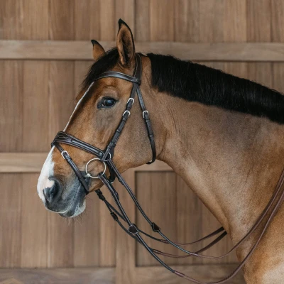 Image de Kentucky Bride Working Motion Marron