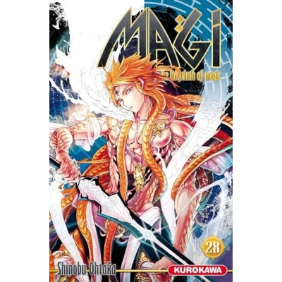 Image de Magi The Labyrinth of Magic tome 28